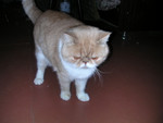 dscn2571