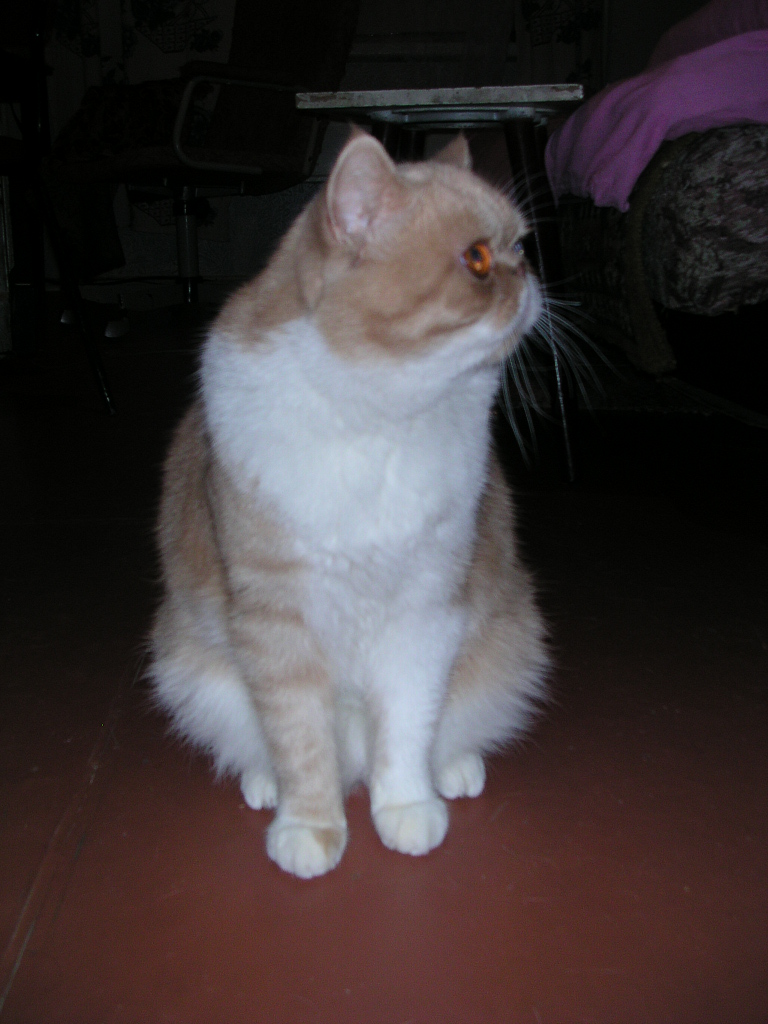 dscn2572