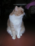 dscn2572