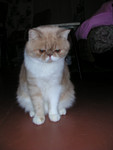 dscn2574