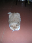 dscn2579