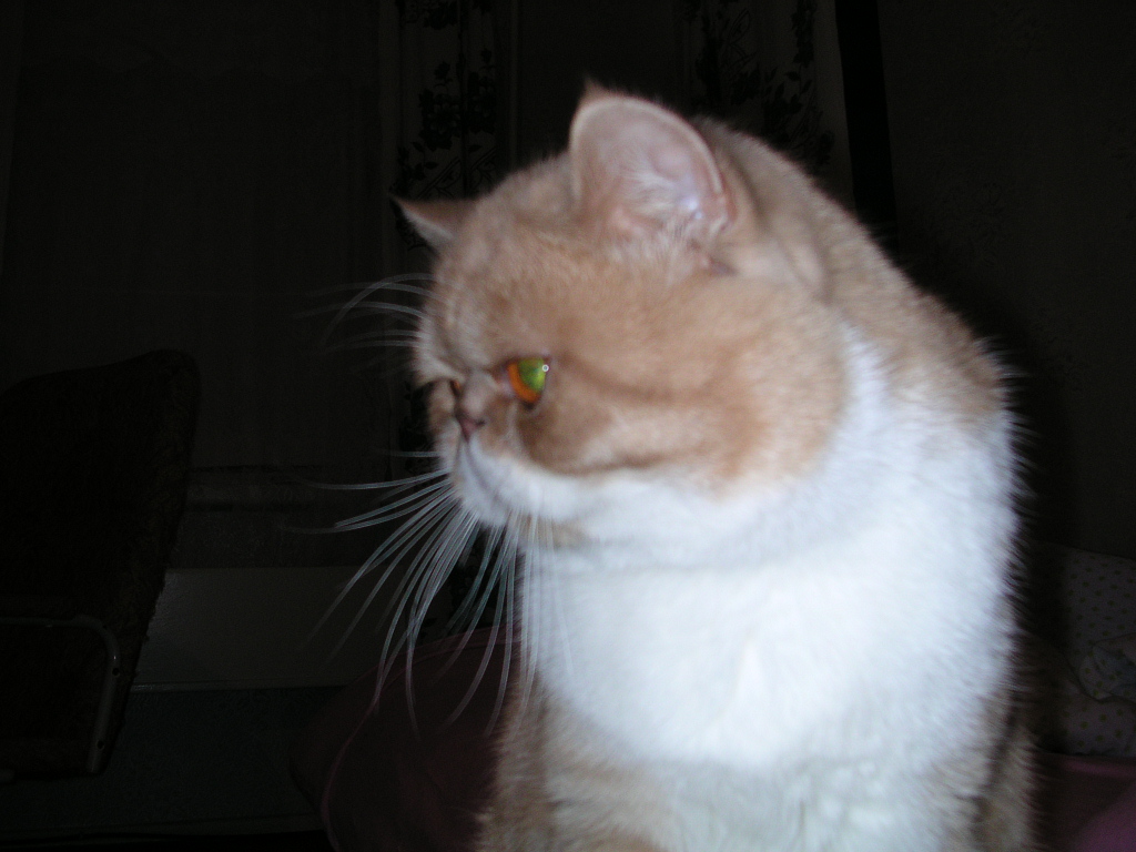 dscn2581