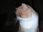 dscn2581