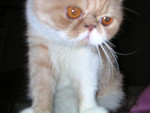 dscn2582
