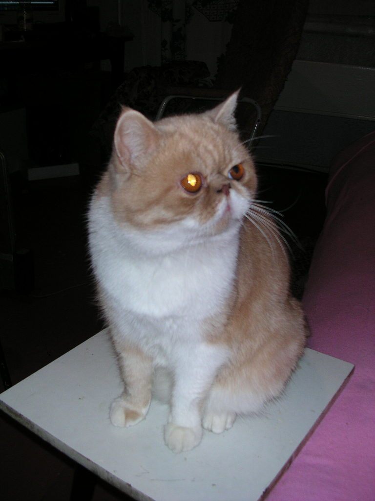 dscn2585