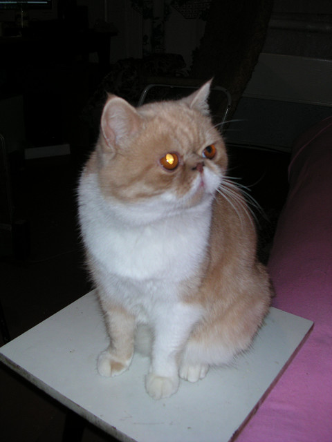 dscn2585