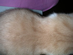 dscn2595