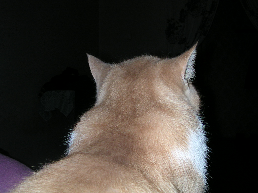 dscn2596