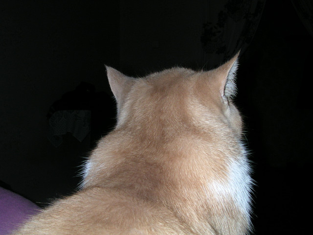dscn2596