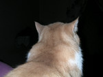 dscn2596