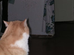 dscn2599