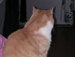 dscn2600