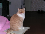 dscn2601