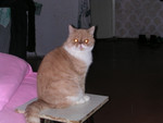 dscn2602