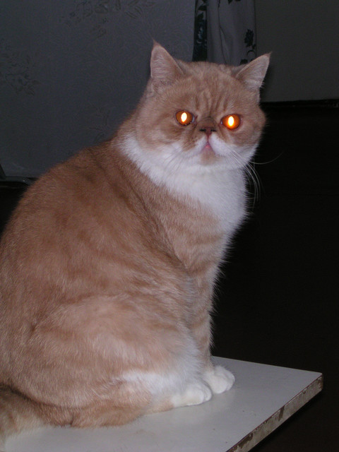 dscn2603