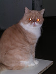 dscn2603
