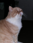 dscn2608
