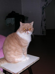dscn2612