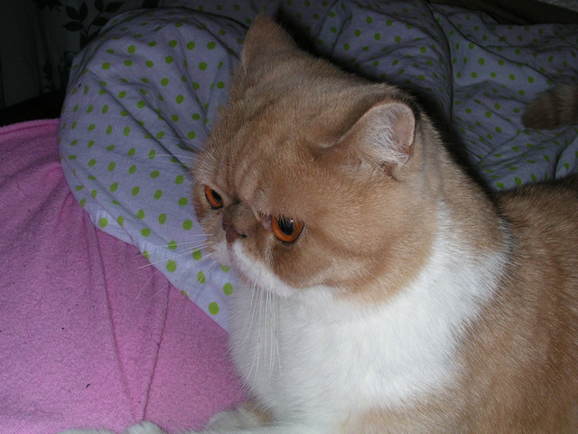 dscn2619