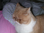 dscn2620