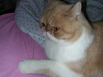 dscn2621