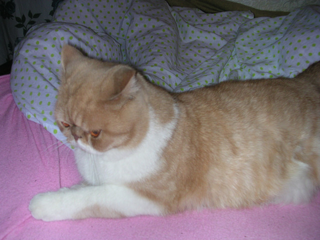 dscn2624