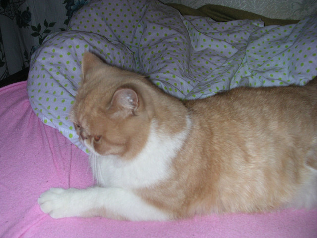 dscn2625