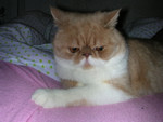 dscn2628