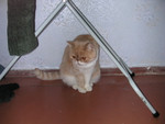 dscn2630