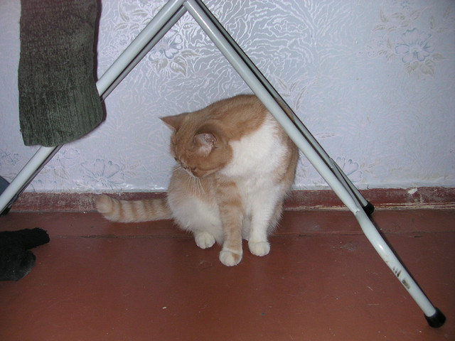 dscn2631