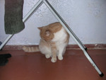 dscn2631