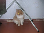 dscn2632