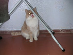 dscn2633