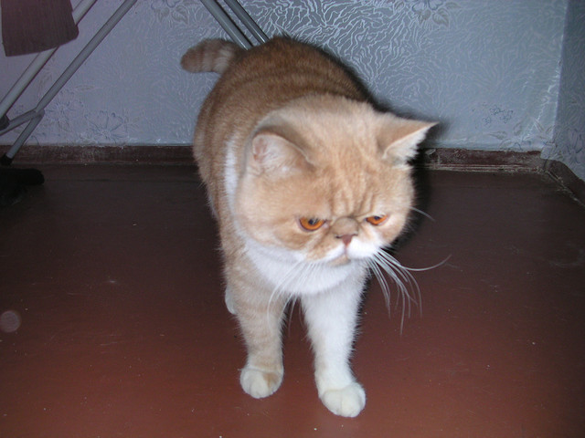 dscn2634