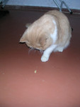 dscn2635