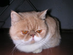 dscn2638
