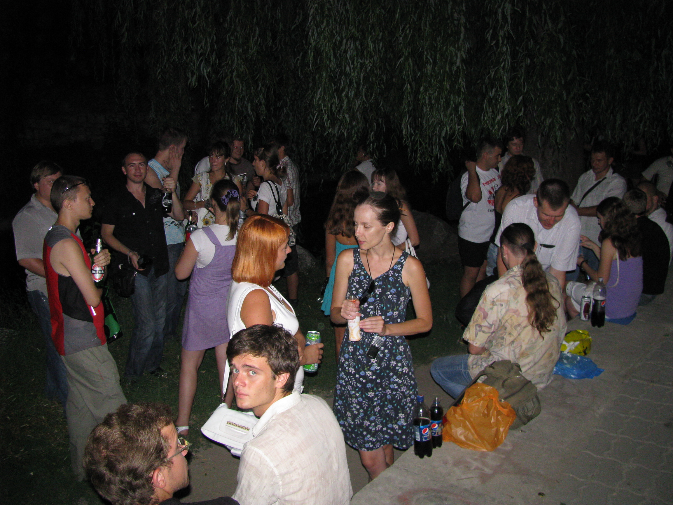 IMG 2253