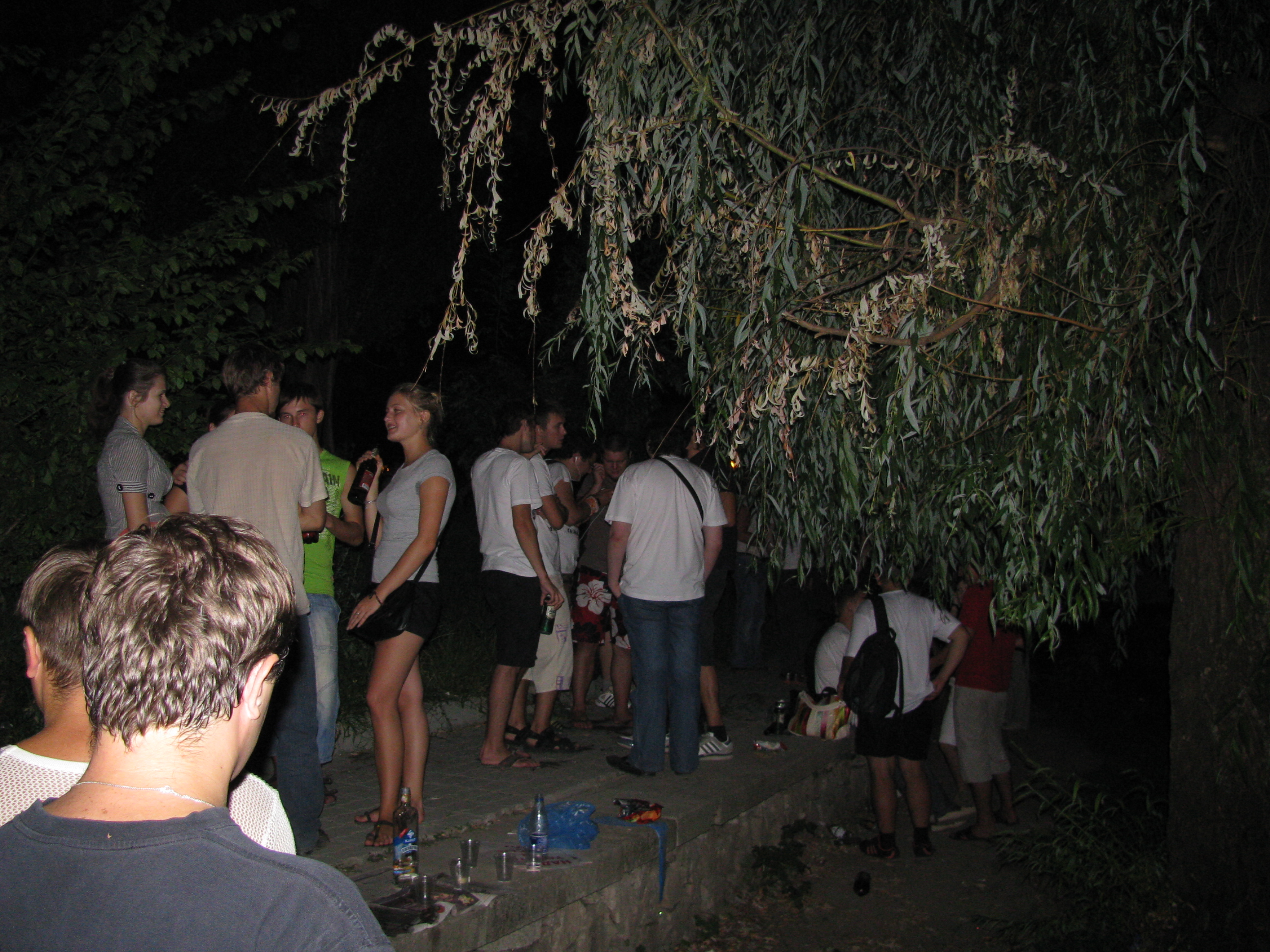 IMG 2268