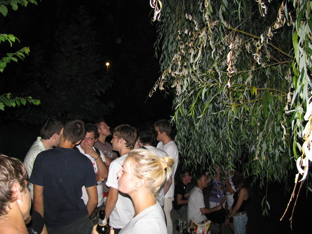 IMG 2271