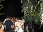 IMG 2271
