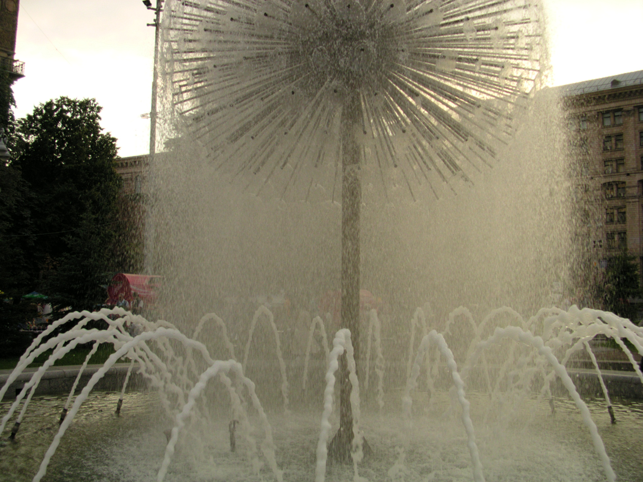 DSCN3684