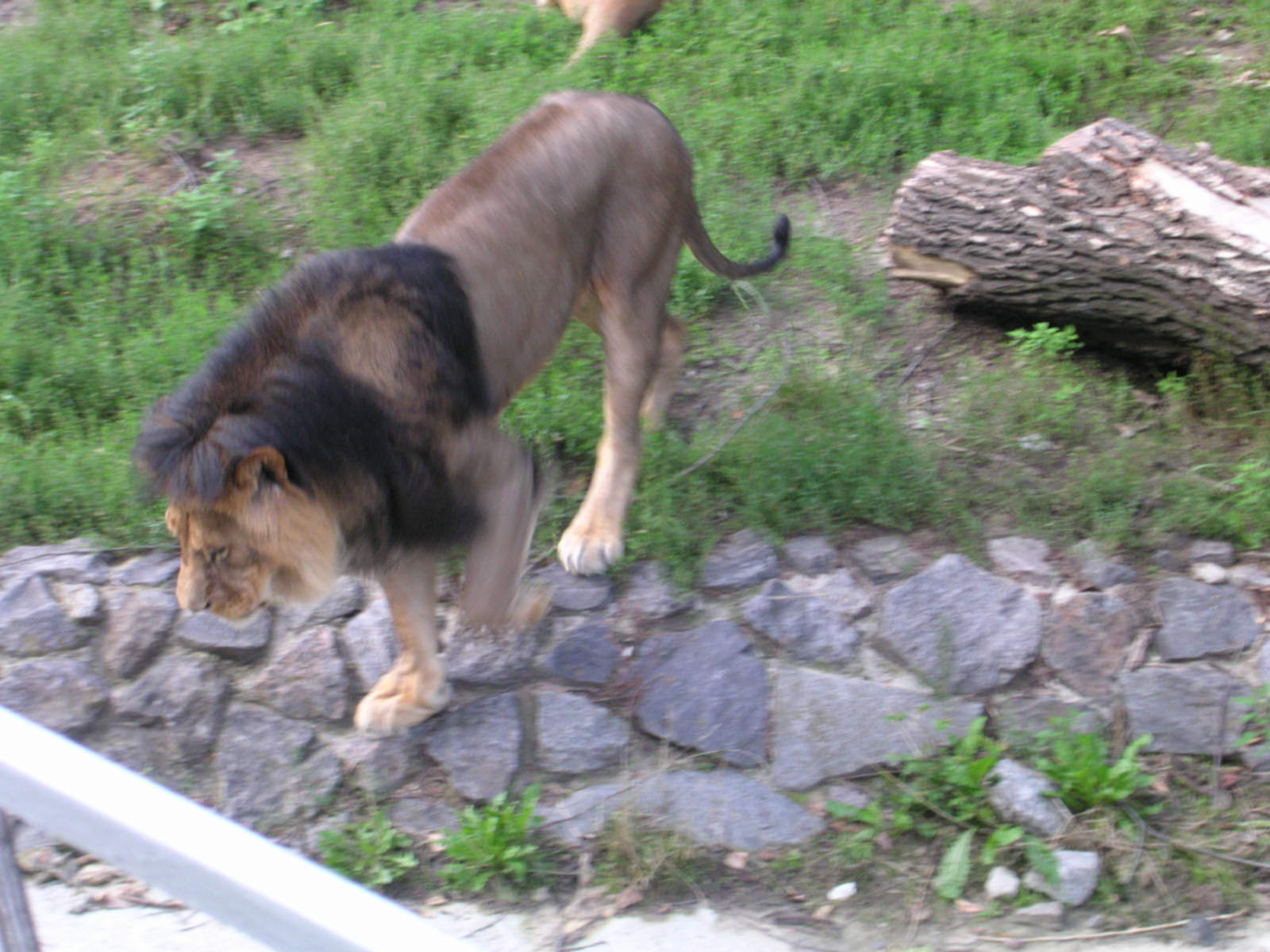 DSCN3757