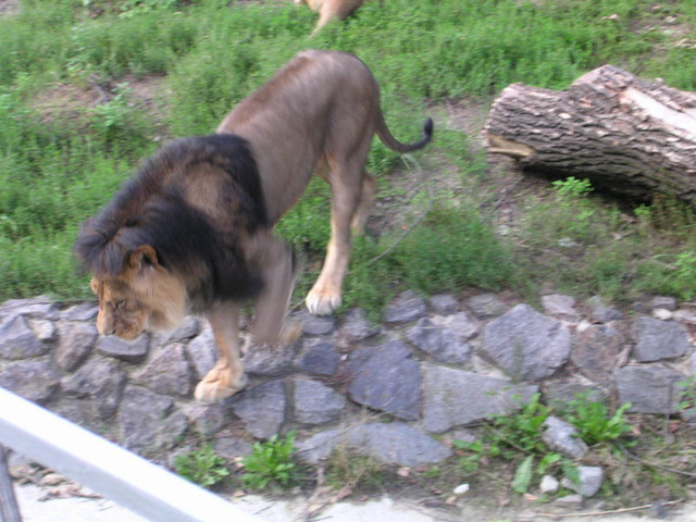 DSCN3757