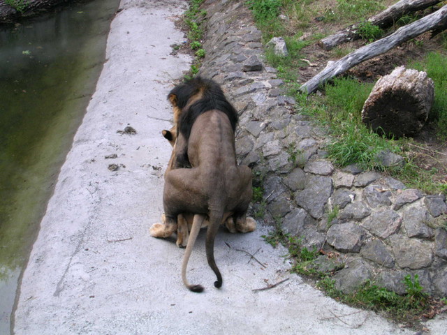 DSCN3763
