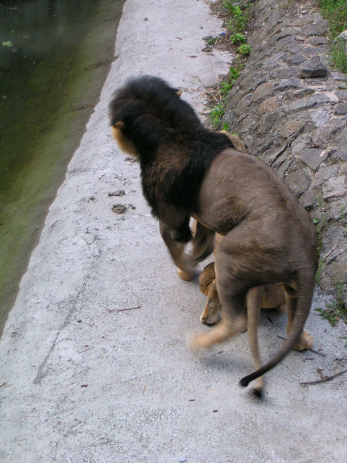 DSCN3765