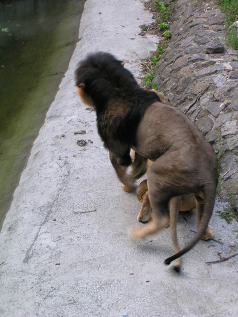 DSCN3765